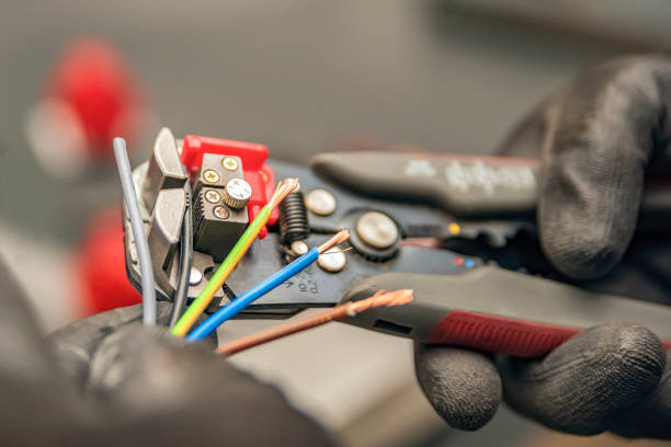 Best Electrician for Home Renovation  in Farmington, MN