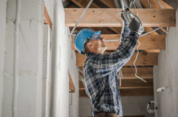 Best Ceiling Fan Installation Electrician  in Farmington, MN