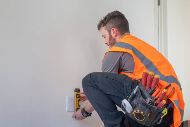 Best Electric Panel Repair  in Farmington, MN